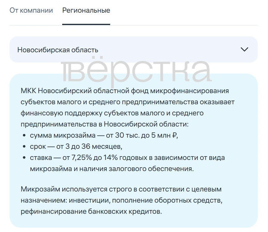 Власти предложили продавцам Wildberries микрозаймы в качестве мер поддержки из-за уничтоженных товаров